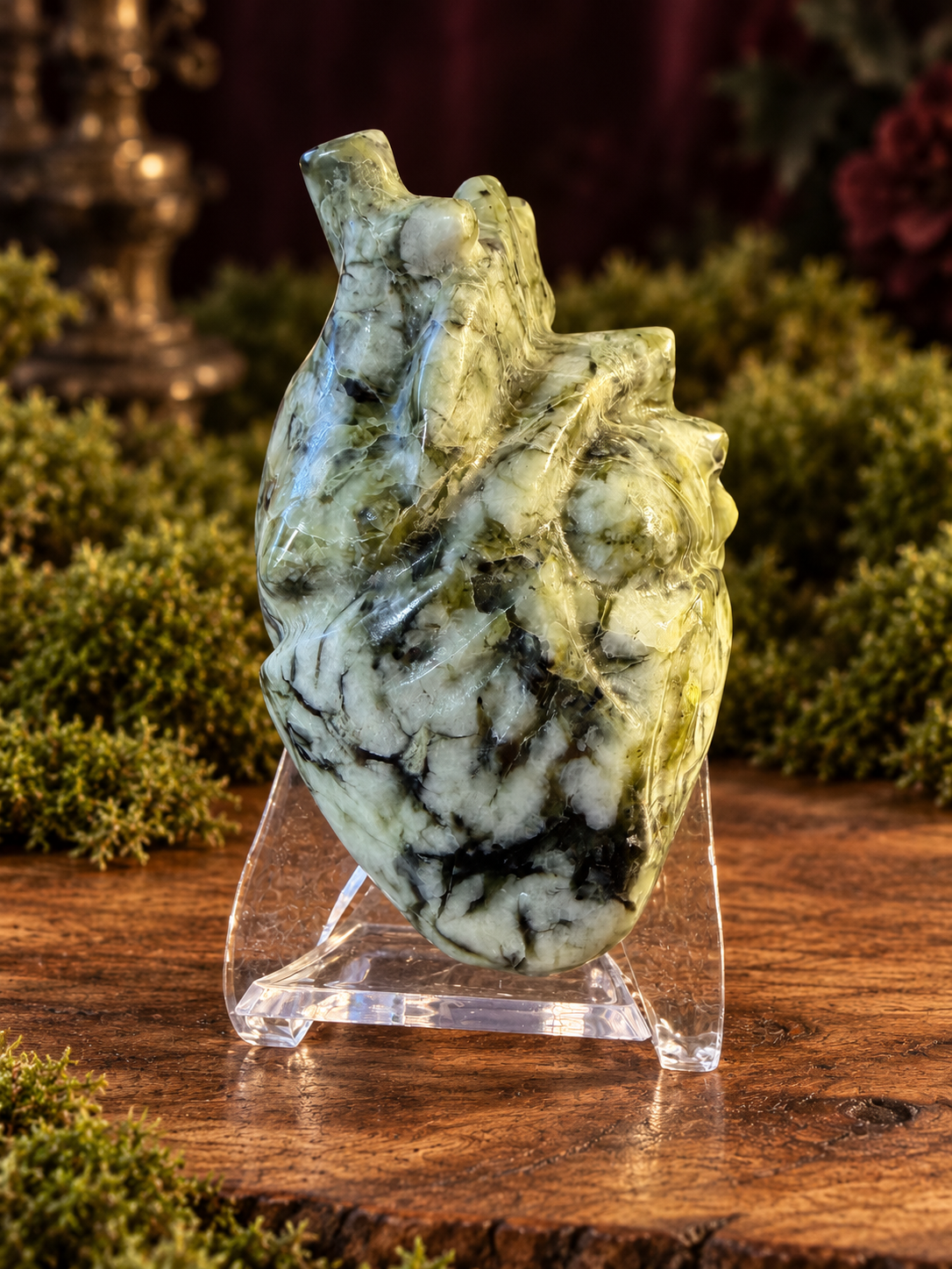Large Anatomical Hearts