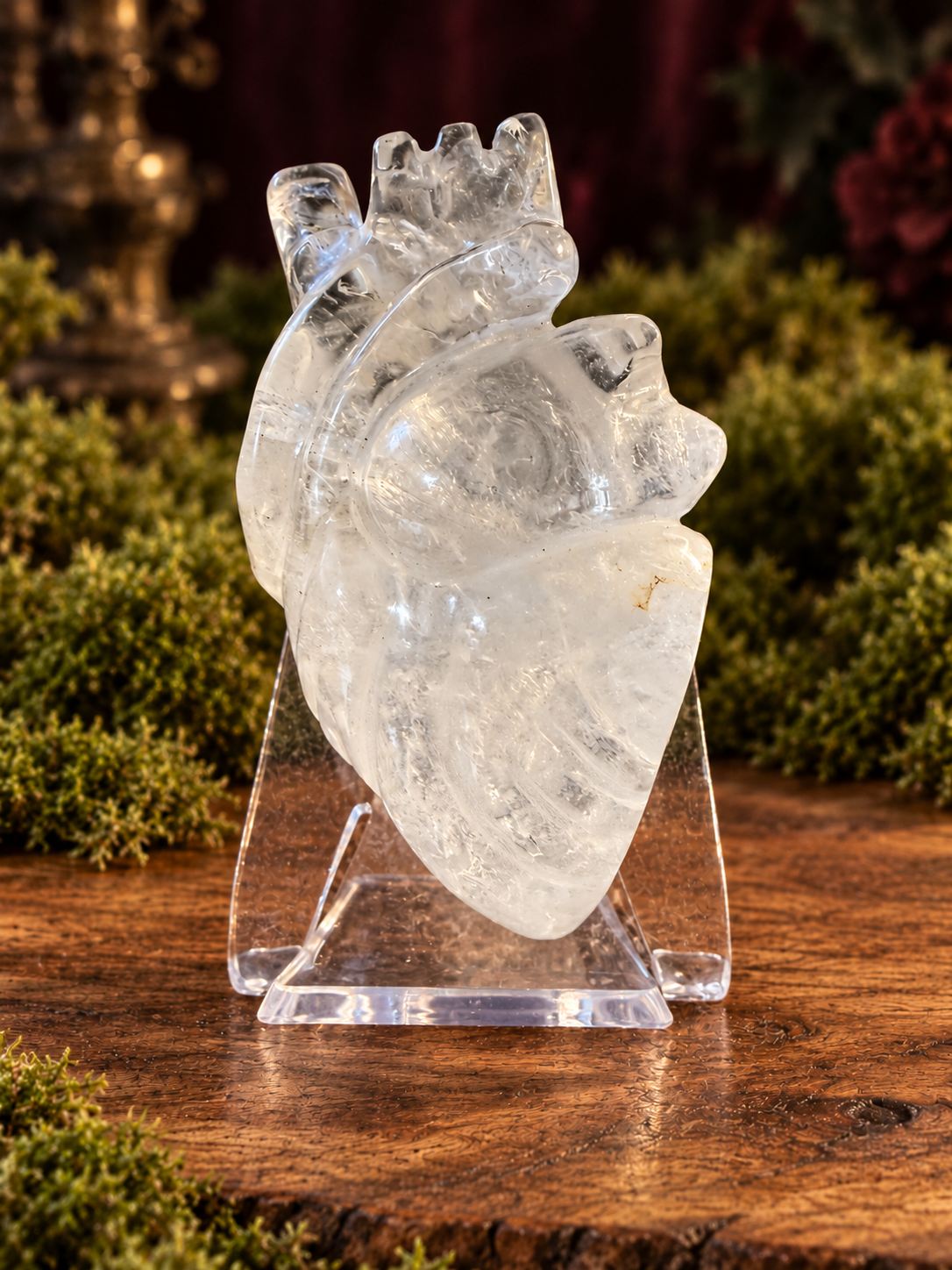 Large Anatomical Hearts
