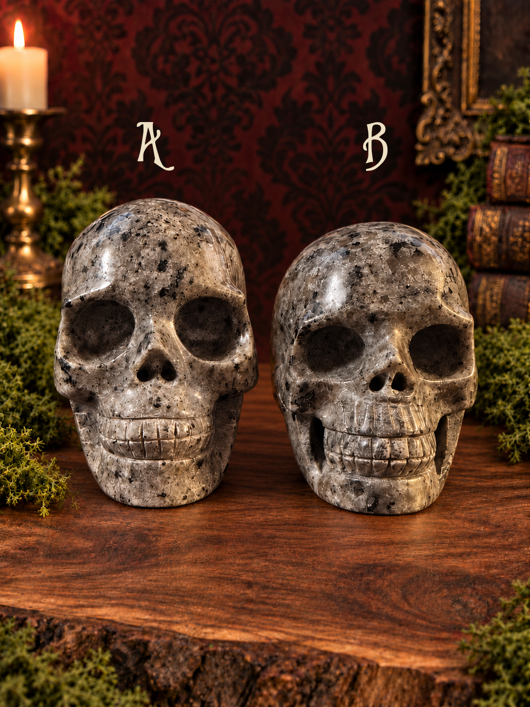 Emberlight skulls together in normal light, A labeled on the left and B on the right.
