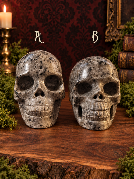 Emberlight skulls together in normal light, A labeled on the left and B on the right.