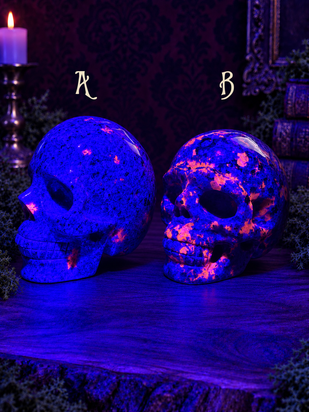 Emberlight skulls A and B, left-facing under focused deep-blue UV light revealing pink fluorescence; A left, B right.