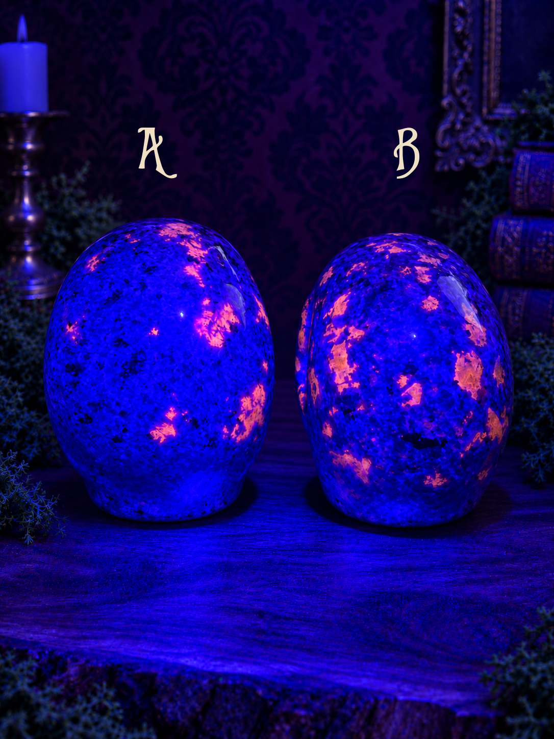 Emberlight skulls A and B, rear view under focused deep-blue UV light revealing pink fluorescence; A left, B right.