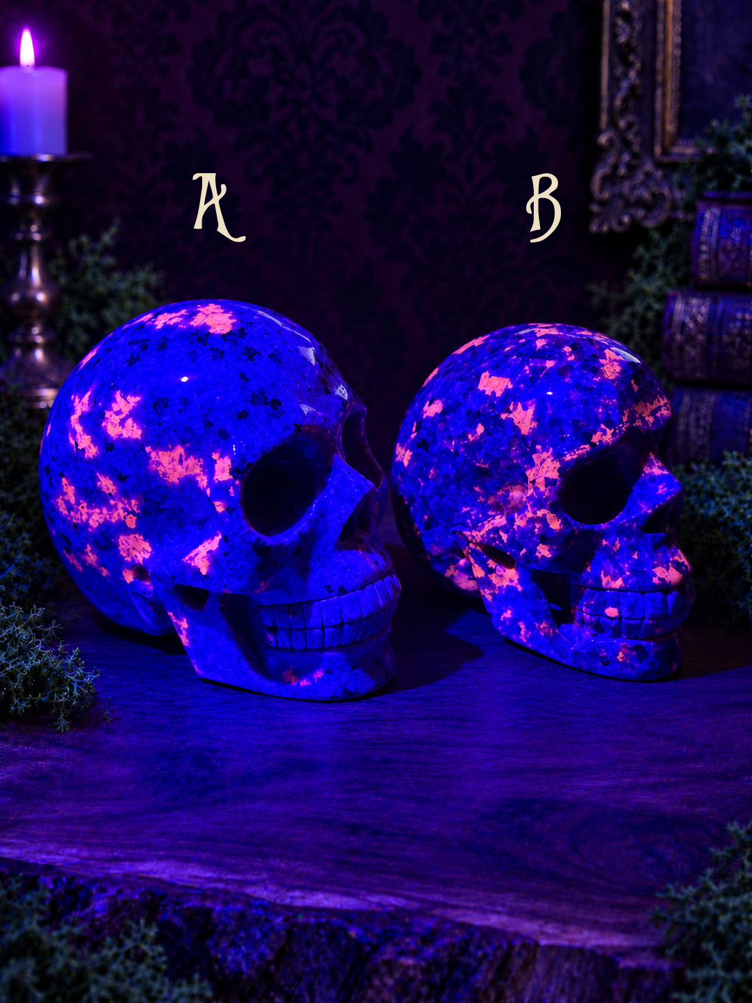 Emberlight skulls A and B, right-facing under focused deep-blue UV light revealing pink fluorescence; A left, B right.