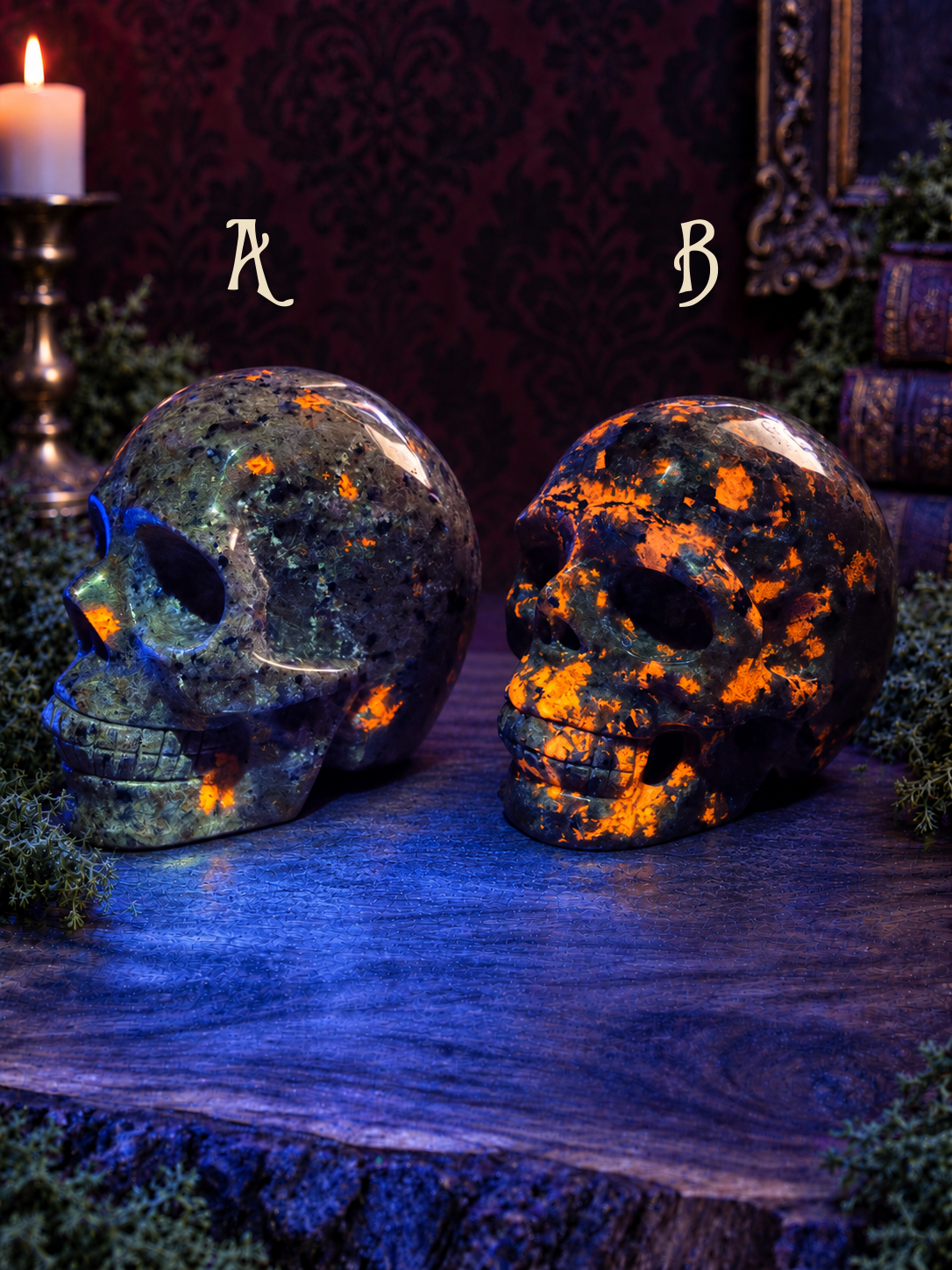 Emberlight skulls A and B, left-facing under lighter-blue UV light revealing orange fluorescence; A left, B right.