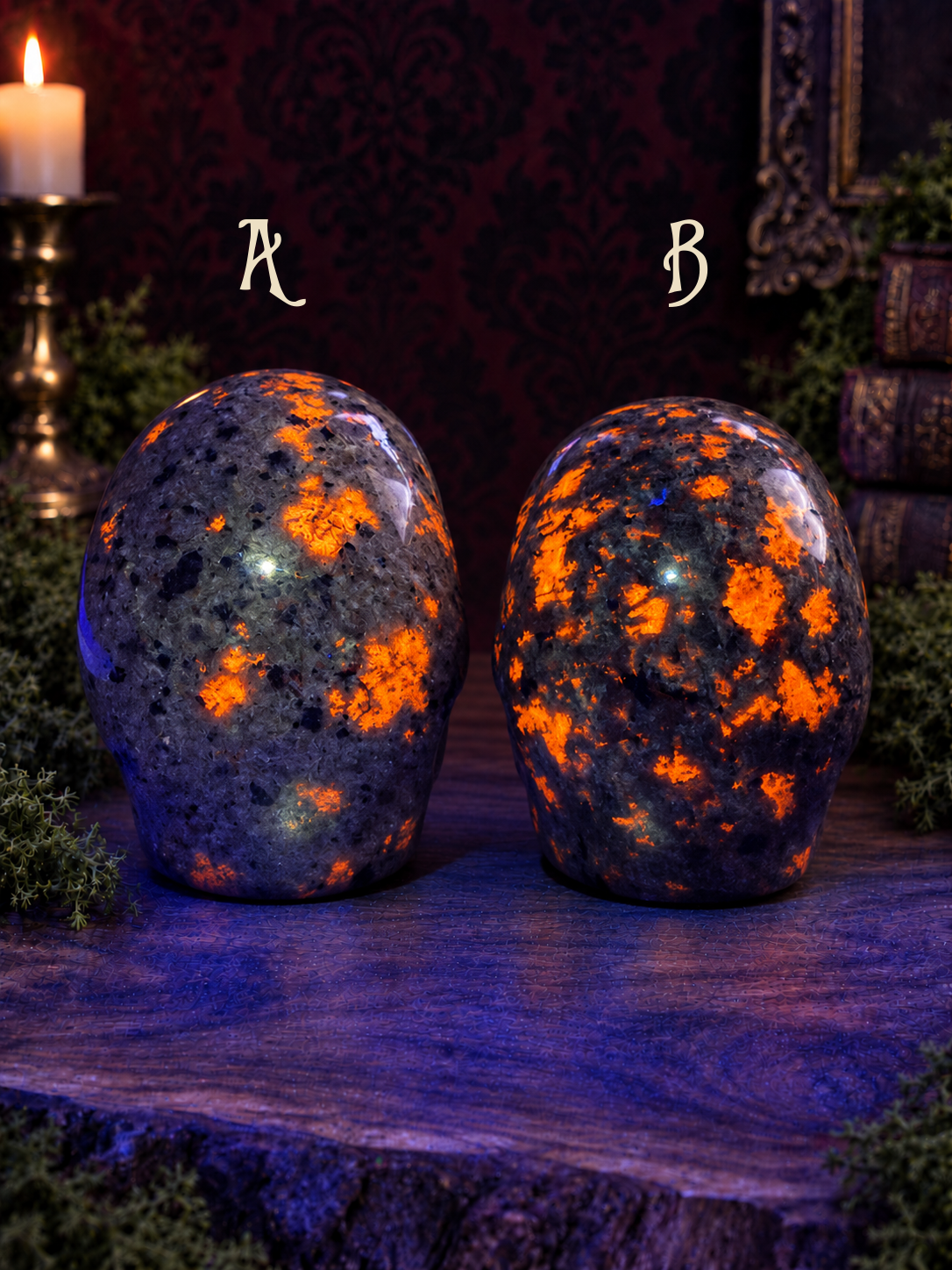 Emberlight skulls A and B, rear view under lighter-blue UV light revealing orange fluorescence; A left, B right.
