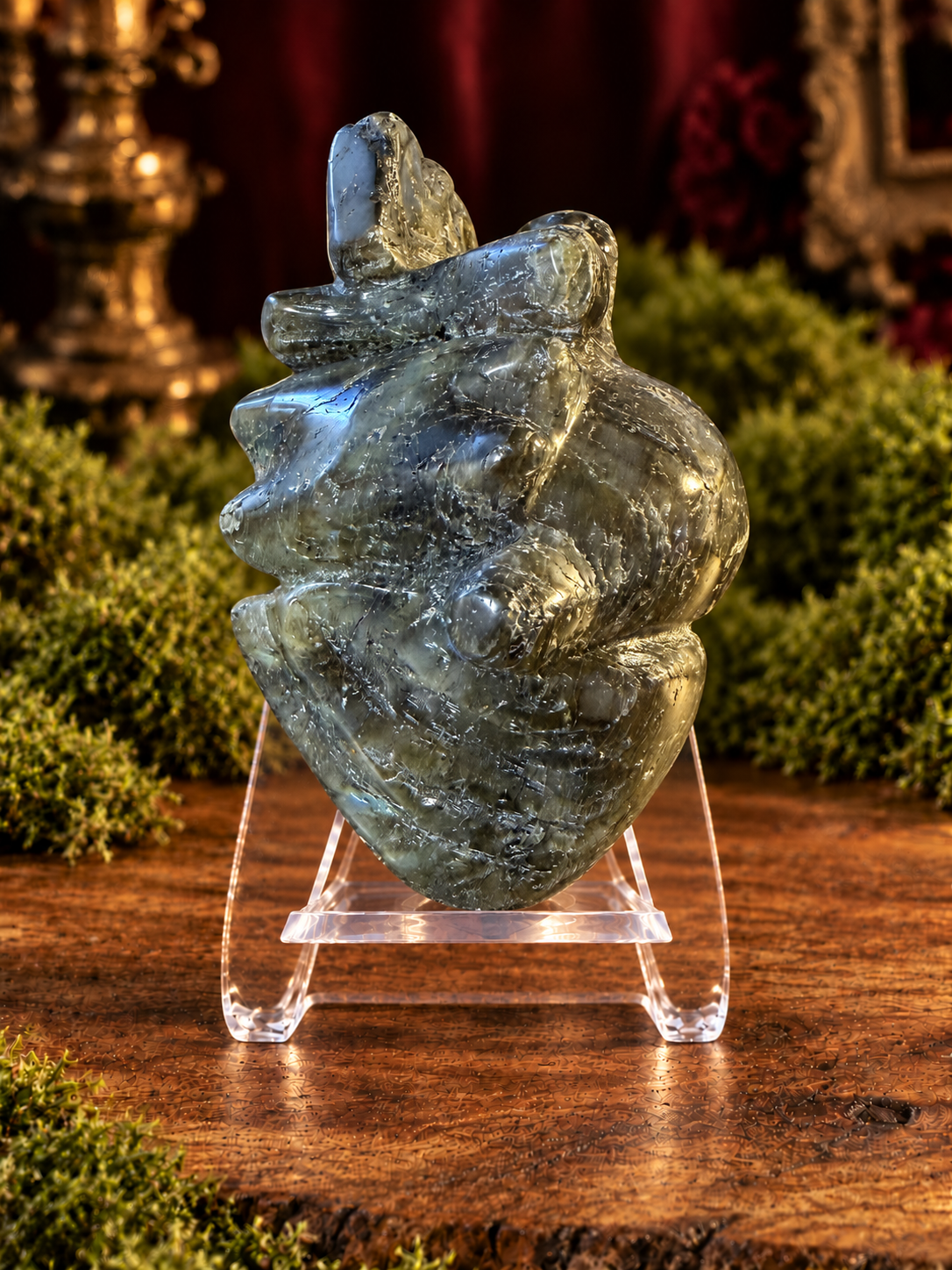 Large Anatomical Hearts