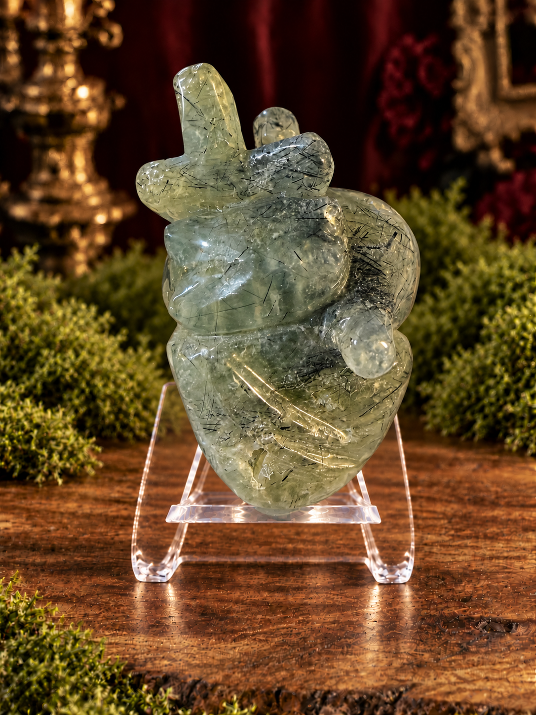 Large Anatomical Hearts