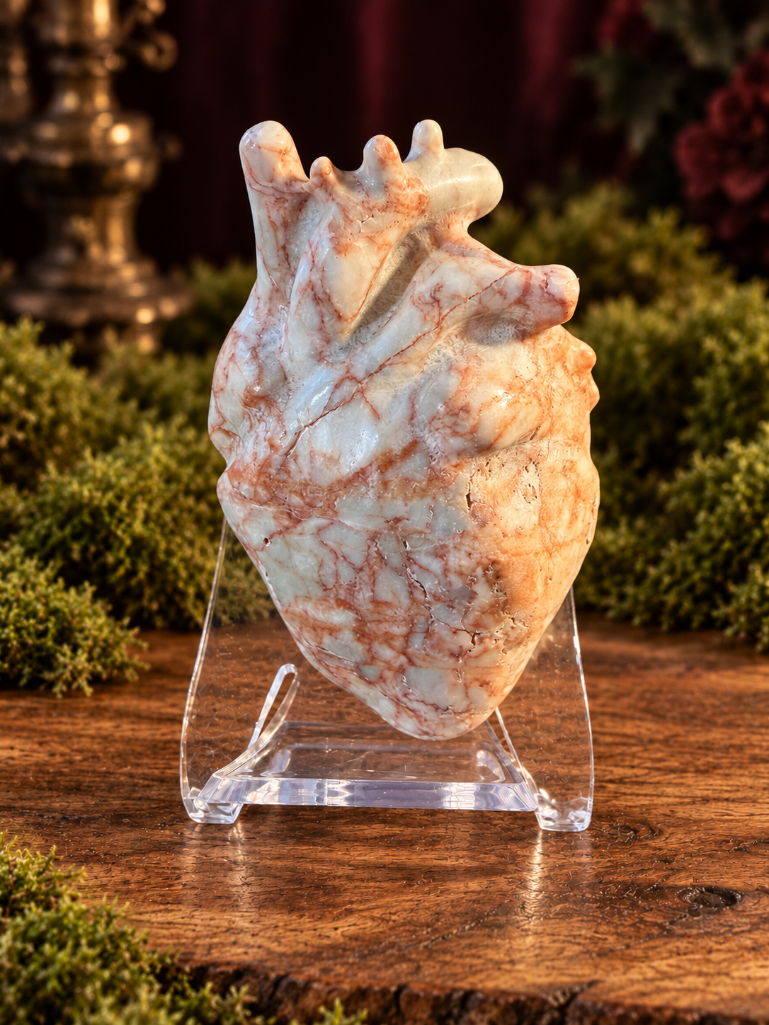 Large Anatomical Hearts